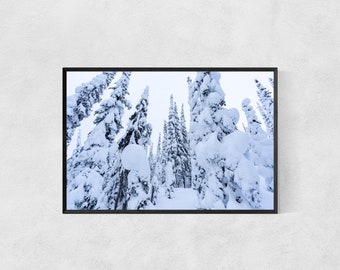 Photography Print High Quality Lustre Paper Snow Forest Trees Mountain Ski Snowboard Glades