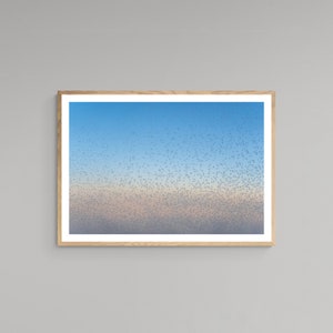Photography Print High Quality Lustre Paper Frozen Blurry Sunset Flying – Winter