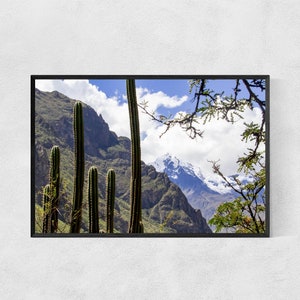 Fotografie Druck Hochwertiges Luster Papier Verschneite Berge Poster Kaktus Druck