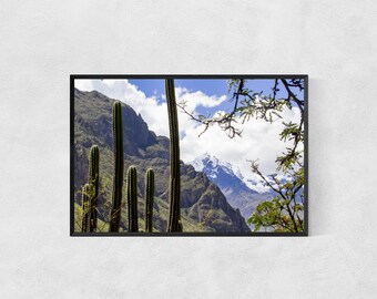 Photography Print High Quality Lustre Paper Snowy Mountain Poster Cactus Print