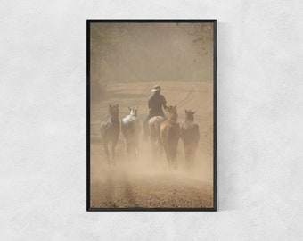 Photography Print High Quality Lustre Paper Horses Horseback Riding Portrait Tamarindo Costa Rica Horse Poster