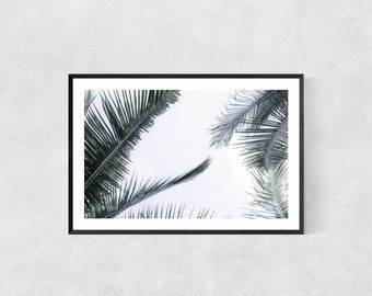 Photography Print High Quality Lustre Paper Retro Palm Trees Poster