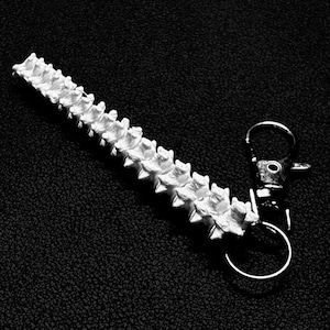 Spine Keychain Anatomisches Wirbel-Modell für Chiropraktiker, Arztpraxen, Studenten und Geschenke