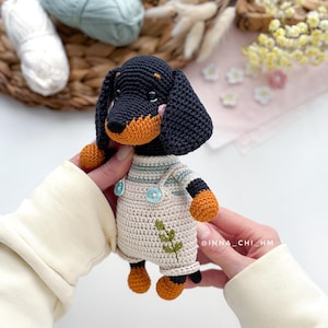May include: A handmade crochet dachshund dog with a black body, tan face and paws, and wearing cream-colored overalls with a green leaf design. The dog is held by hands, with yarn and flowers in the background.