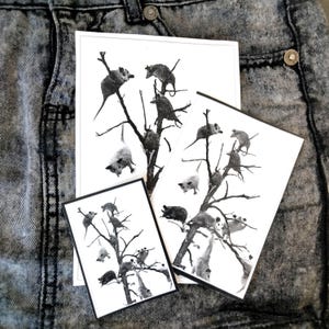 Puede incluir: Tres tarjetas blancas con bordes negros, cada una con una ilustración en blanco y negro de zarigüeyas en un árbol. Las tarjetas están dispuestas sobre una superficie de mezclilla, con la tarjeta más grande en el centro y dos tarjetas más pequeñas delante.