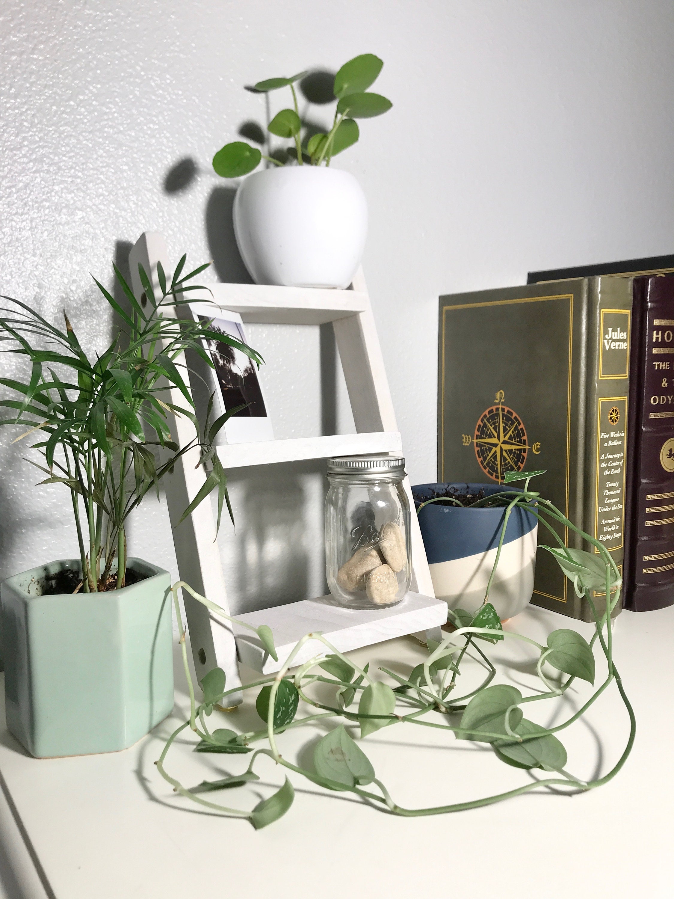 Plant Shelf Etsy