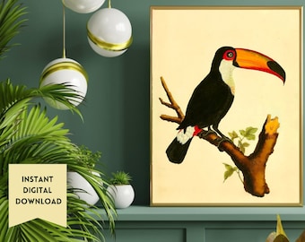 Vintage Toucan Art PRINTABLE Digital Downloads Antique Toucan Painting Illustration Gallery Wall Digital Art Toucan Vintage Bird Art Poster