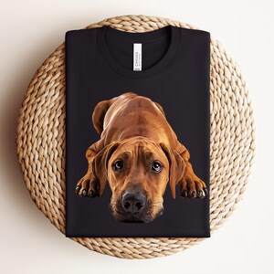 May include: A black crew neck t-shirt featuring a graphic illustration of a brown Rhodesian Ridgeback dog lying down with its head facing forward. The dog has dark eyes and a black nose. The shirt has a white brand label at the inner neckline.