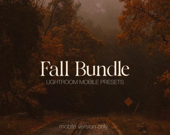 40 Lightroom Presets Mobile Herbst | Vintage, Herbst, Warm, Golden, Film, Outdoor, Indoor, Blogger Presets Instagram Influencer Filter