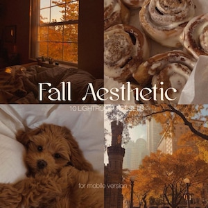 Puede incluir: Un collage de imágenes con temática otoñal, que incluye una ventana con hojas de otoño, un plato de rollos de canela con glaseado blanco, un perro marrón acostado en una manta blanca y una vista de una calle de la ciudad con follaje otoñal.