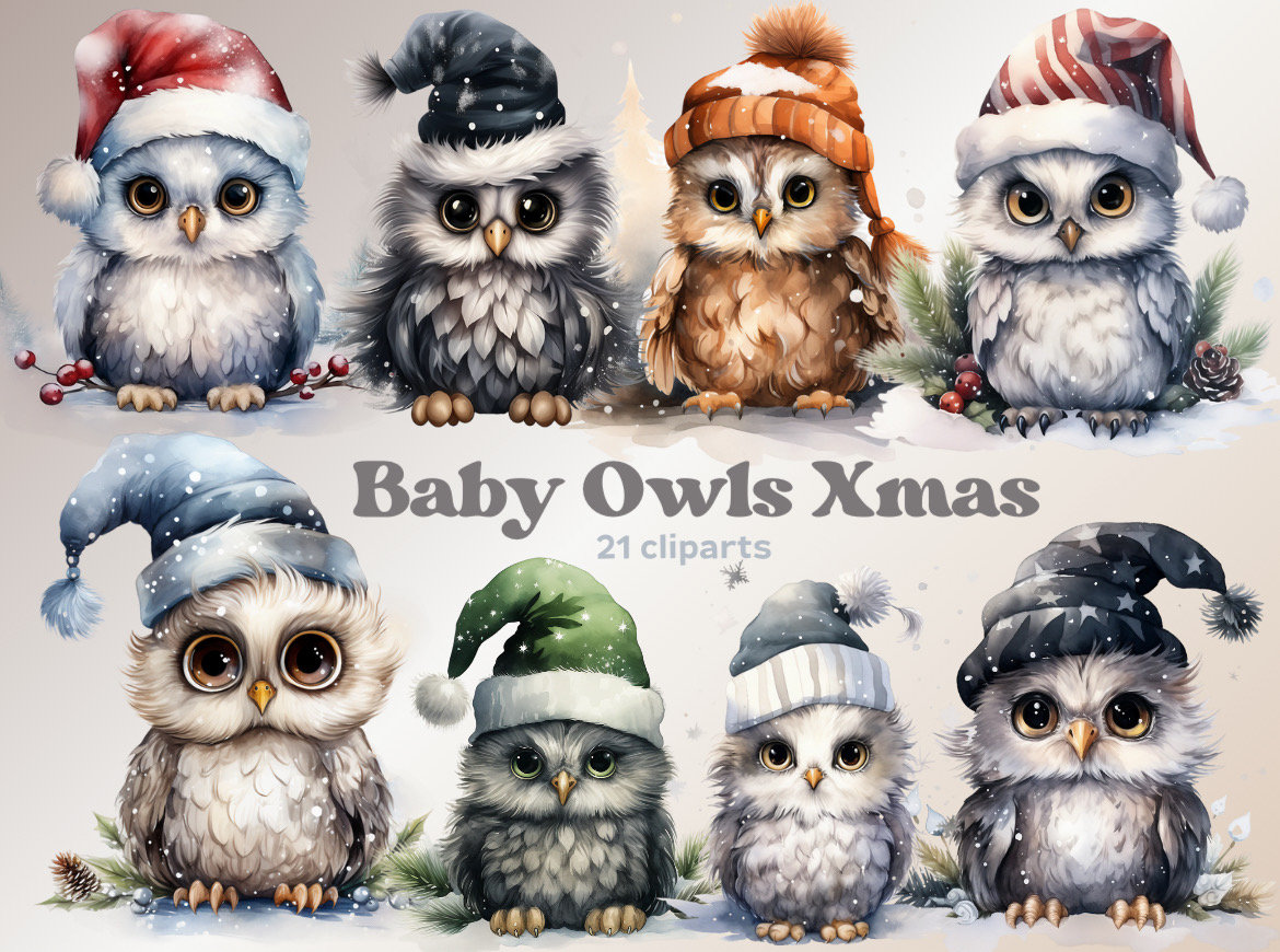 Christmas Baby Owl Clipart Winter Bird PNG Stickers Scratchbook Holiday Scrapbook