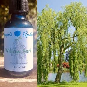 Willow Bark Tincture