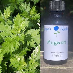 Mugwort Tincture