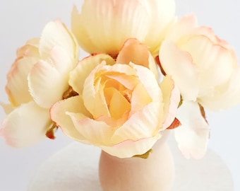 Miniature peonies, miniature dollhouse plant