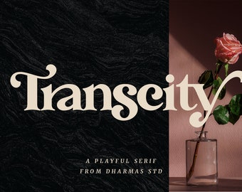 Transcity Retro Serif Font: Playful Vintage Design (TTF, OTF)