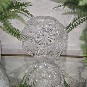 May include: A clear, cut-glass bowl with a starburst pattern in the center and floral designs around the rim. The bowl is reflected on a mirrored surface, with green fern fronds framing the image. A decorative piece for serving.