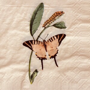 Individual Napkin ~ Yellow Swallowtail Butterfly and Caterpillar