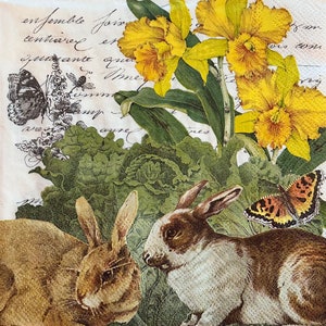 May include: A vintage-style illustration featuring two brown rabbits, a butterfly, and yellow orchids. The rabbits are nestled in a bed of green lettuce. The background is a cream-colored paper with handwritten text.