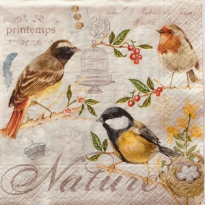 May include: A vintage-style illustration of three birds perched on branches. The birds are a brown and yellow bird, a robin, and a black and yellow bird. The illustration is on a white background with the word "printemps" and "Nature" written in cursive.