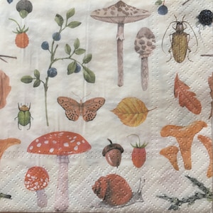 Serviette individuelle ~ Champignons et autres trésors de la forêt