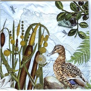 Puede incluir: Una servilleta de papel cuadrada con un pato marrón sobre una roca, rodeado de espadañas, flores silvestres amarillas y helechos verdes. El fondo incluye un patrón de mapa topográfico azul claro, un sello postal y libélulas.