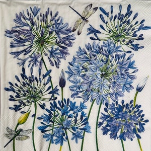 Individuelle Servietten ~Agapanthus