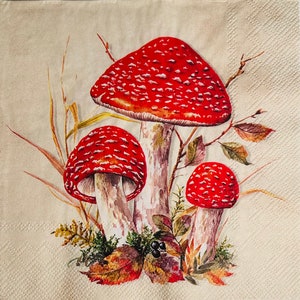 Serviette de table individuelle ~ Tabourets vénéneux rouges