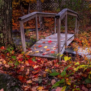 Autumn Bridge