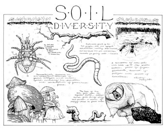 Soil Diversity print