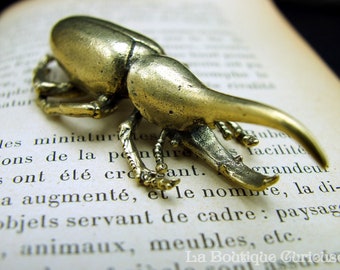 Dynaste Hercules beetle brass figurine (Dynastes hercules) entomology decoration cabinet of curiosities