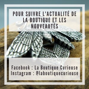 May include: A silver butterfly brooch with intricate details. The brooch is on a wooden surface. The text "POUR SUIVRE L'ACTUALIT&Eacute; DE LA BOUTIQUE ET LES NOUVEAUT&Eacute;S Facebook : La Boutique Curieuse Instagram : @laboutiquecurieuse" is on a white background.