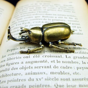 Japanese rhinoceros beetle figurine Allomyrina dichotoma in brass