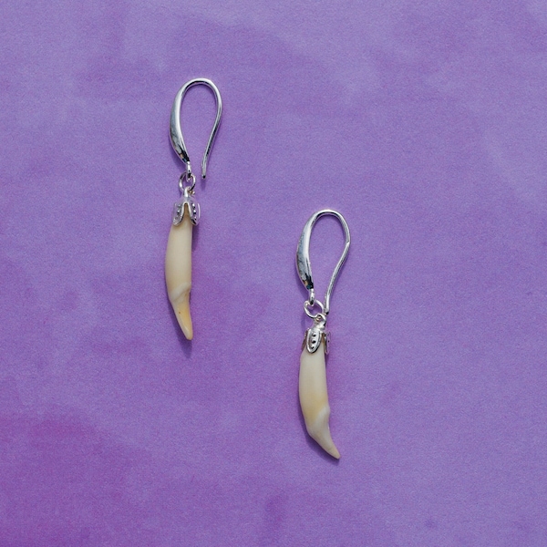 Sterling Silver Mink Fang dangling Earrings  - Animal Bone Earrings - Animal Teeth Earrings - Taxidermy Jewelry - Animal Bone Jewelry