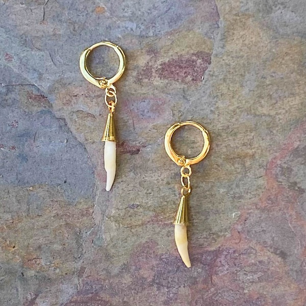 Mink Fang Gold dangling huggie Hoop Earrings  - Animal Bone Earrings - Animal Teeth Earrings - Taxidermy Jewelry - Animal Bone Jewelry