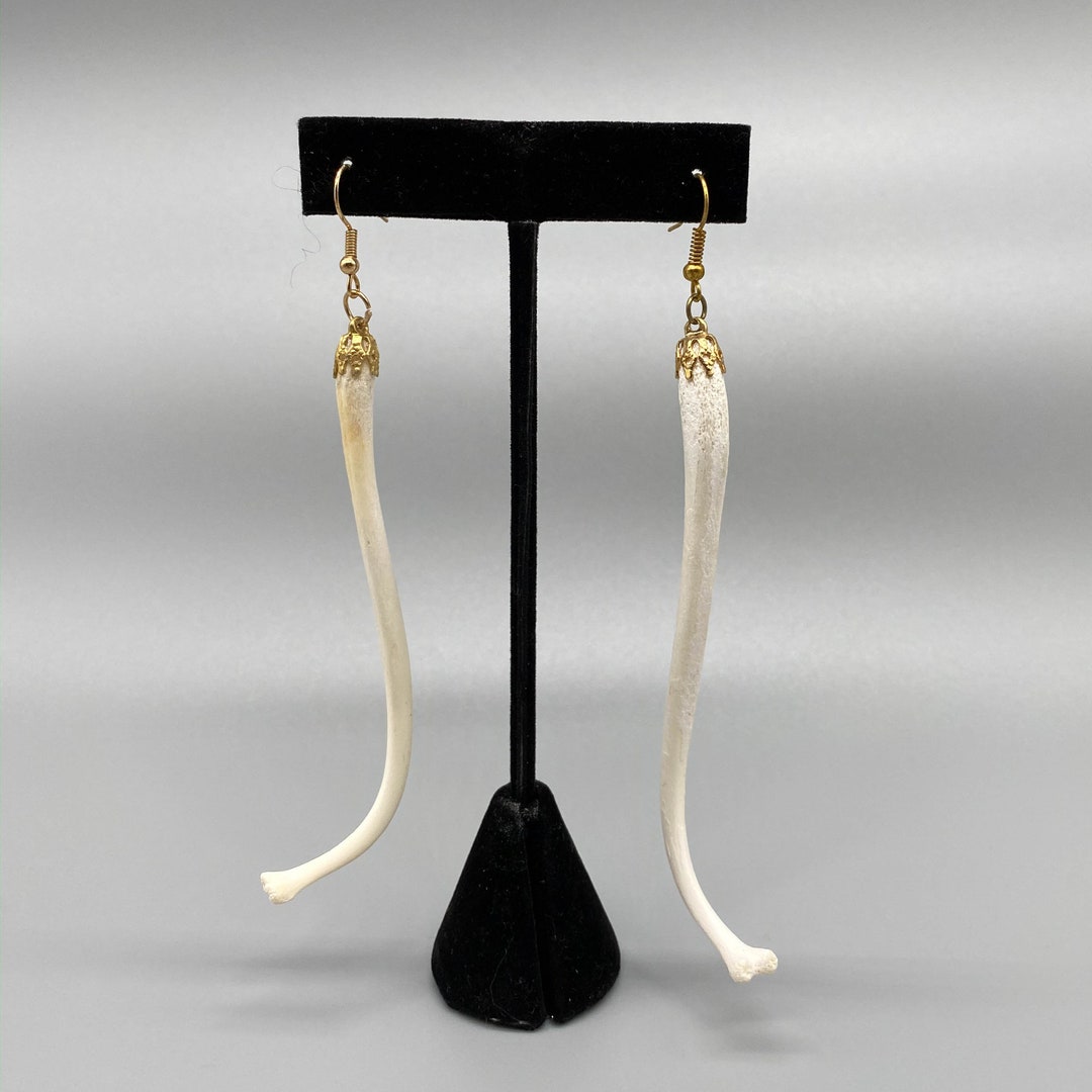 Raccoon penis best sale jewelry