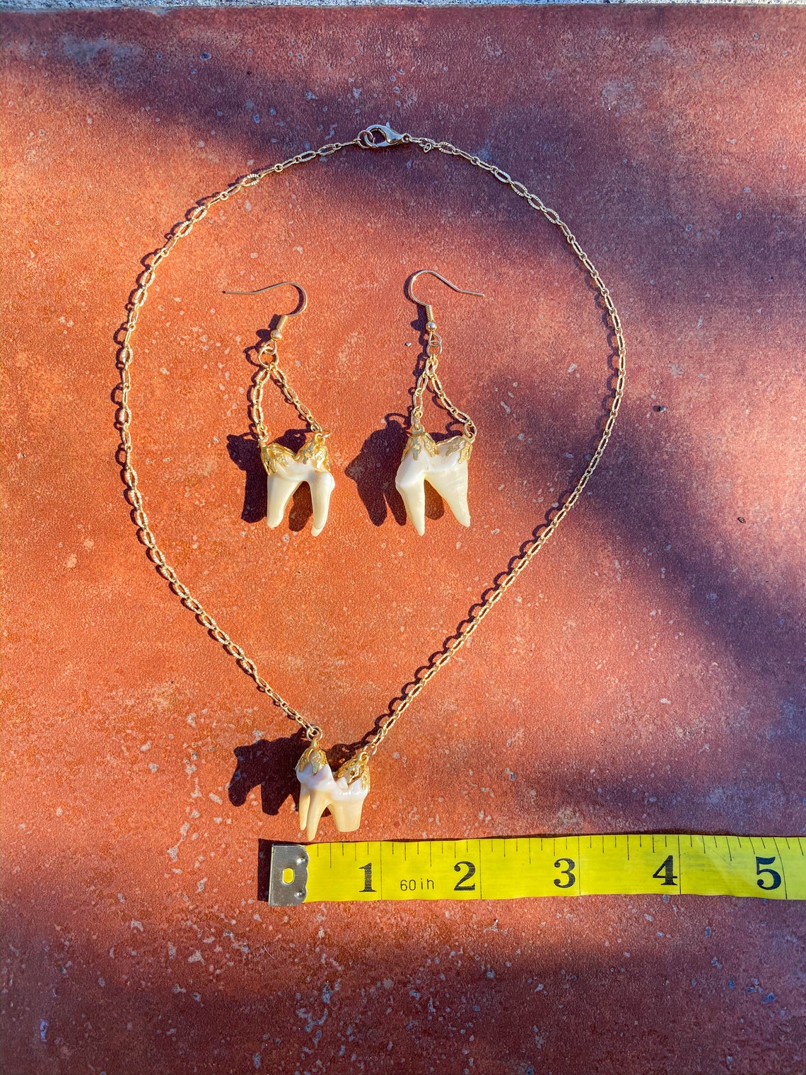 Coyote Tooth Necklace Animal Bone Jewelry Taxidermy Etsy