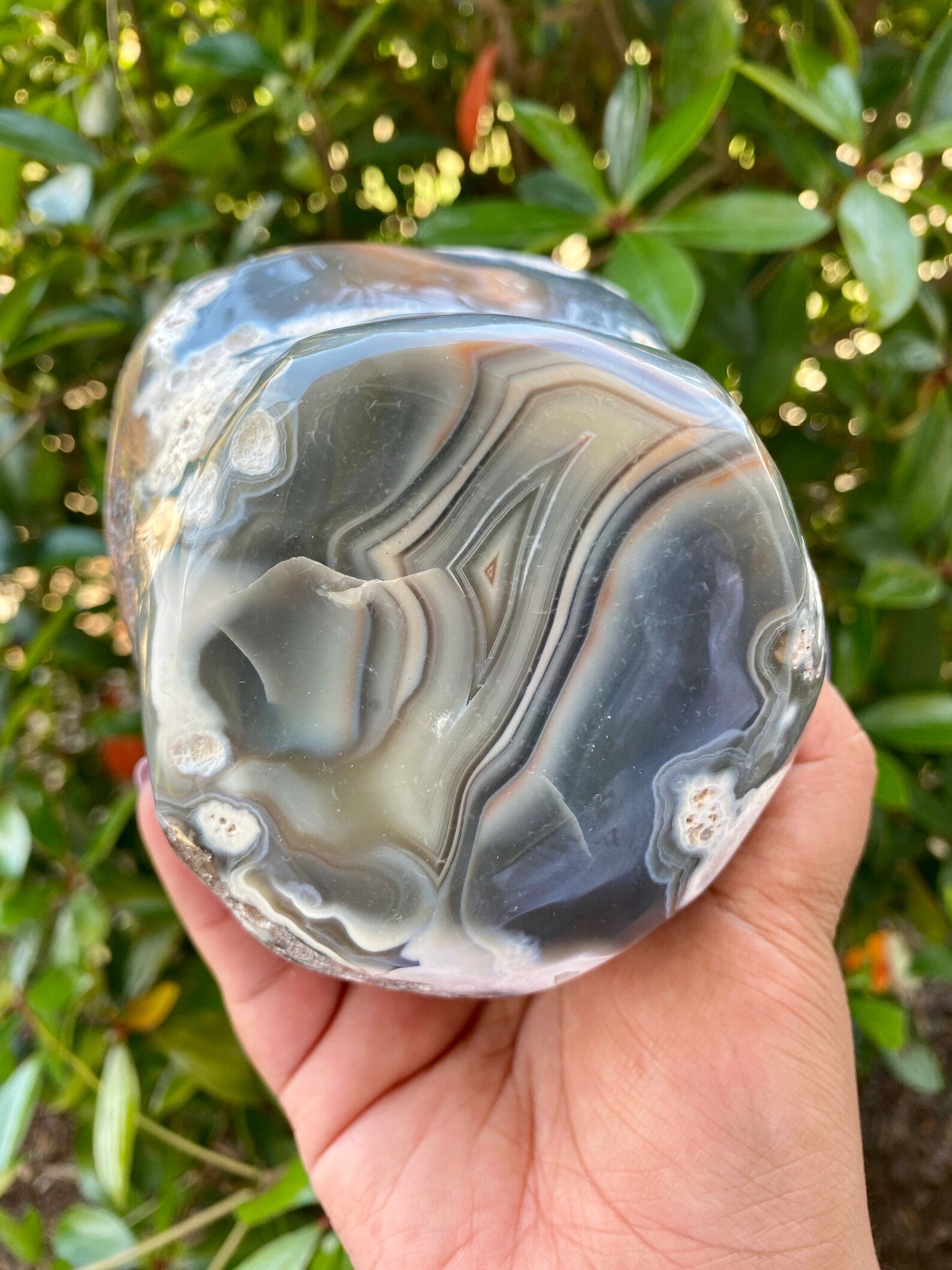 Huge Rare Orca Agate Freeform Etsy Swarm honeybee