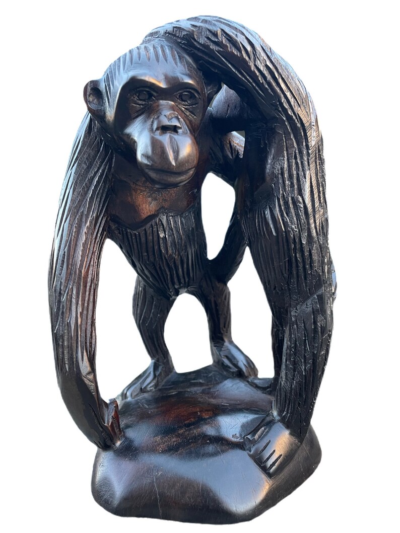 Chimpanzee father and son