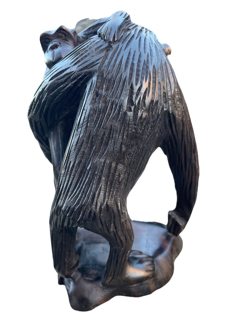 Chimpanzee father and son