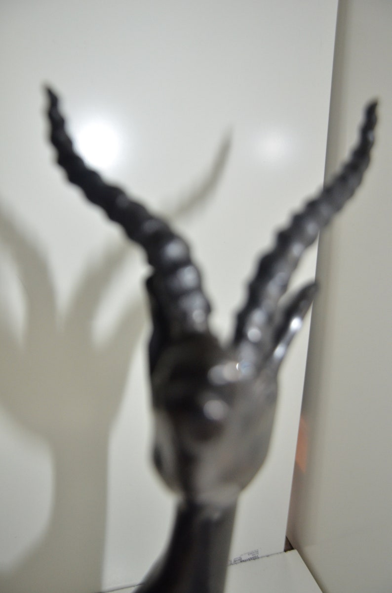 A Beautiful male Antilope from Congo Rare find