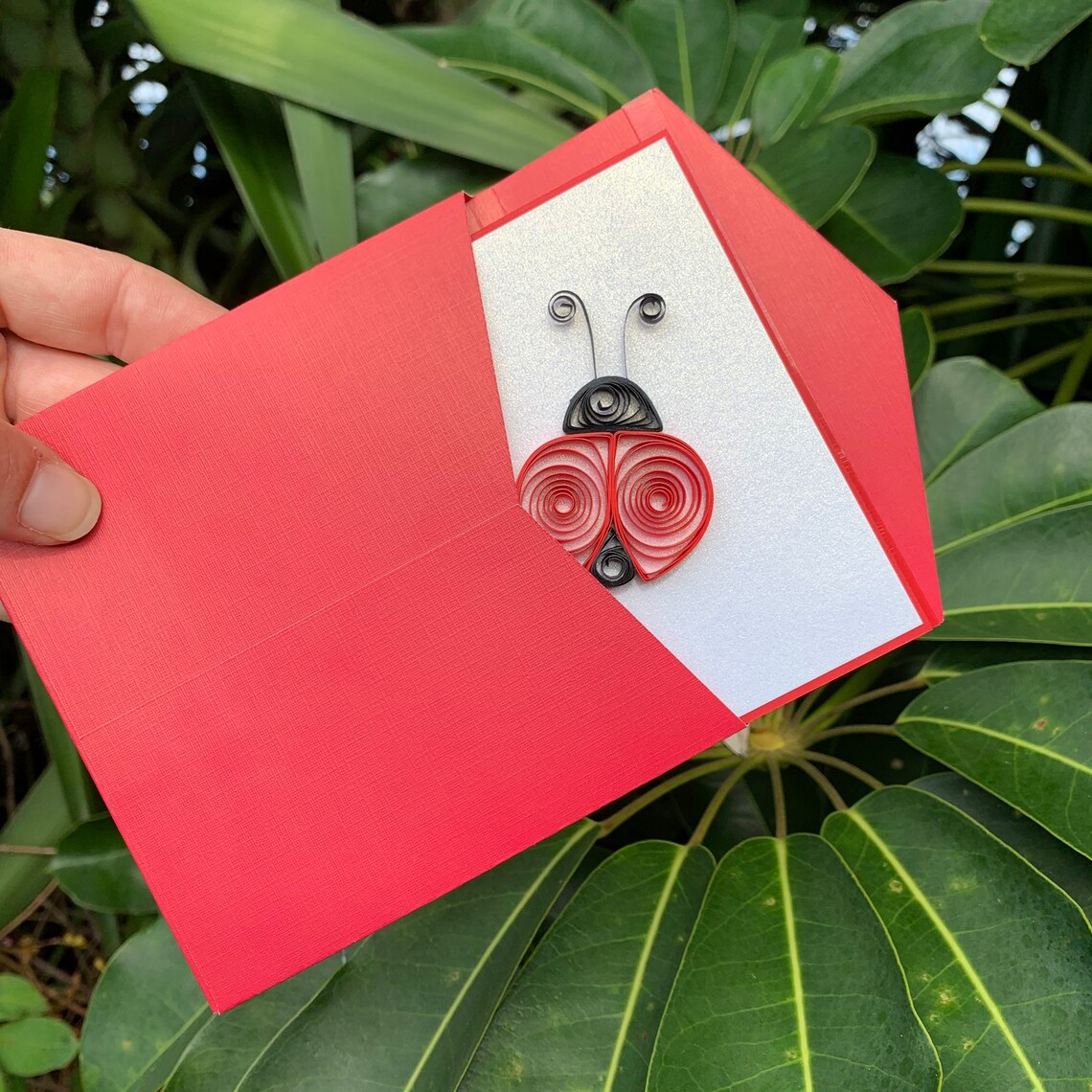 Handmade Quilled Ladybug Greeting Card With Beautiful Matching Etsy
