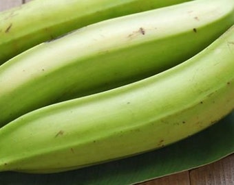 Plantain - Fresh green Plantain - Kochbananen - 1Kg