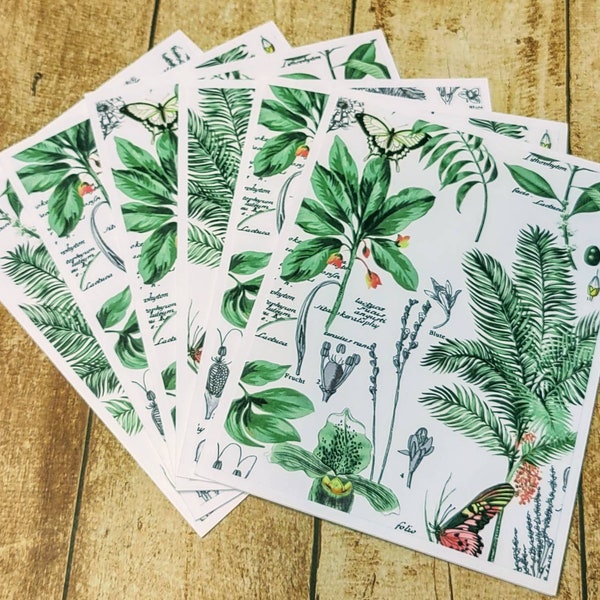 Set of 6 Lush Tropical Foliage Note cards with Envelopes, Love Notes, Correspondence Summer