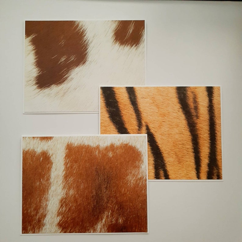 Fun Notes Set of 6 Animal Coat Notecards with Envelopes