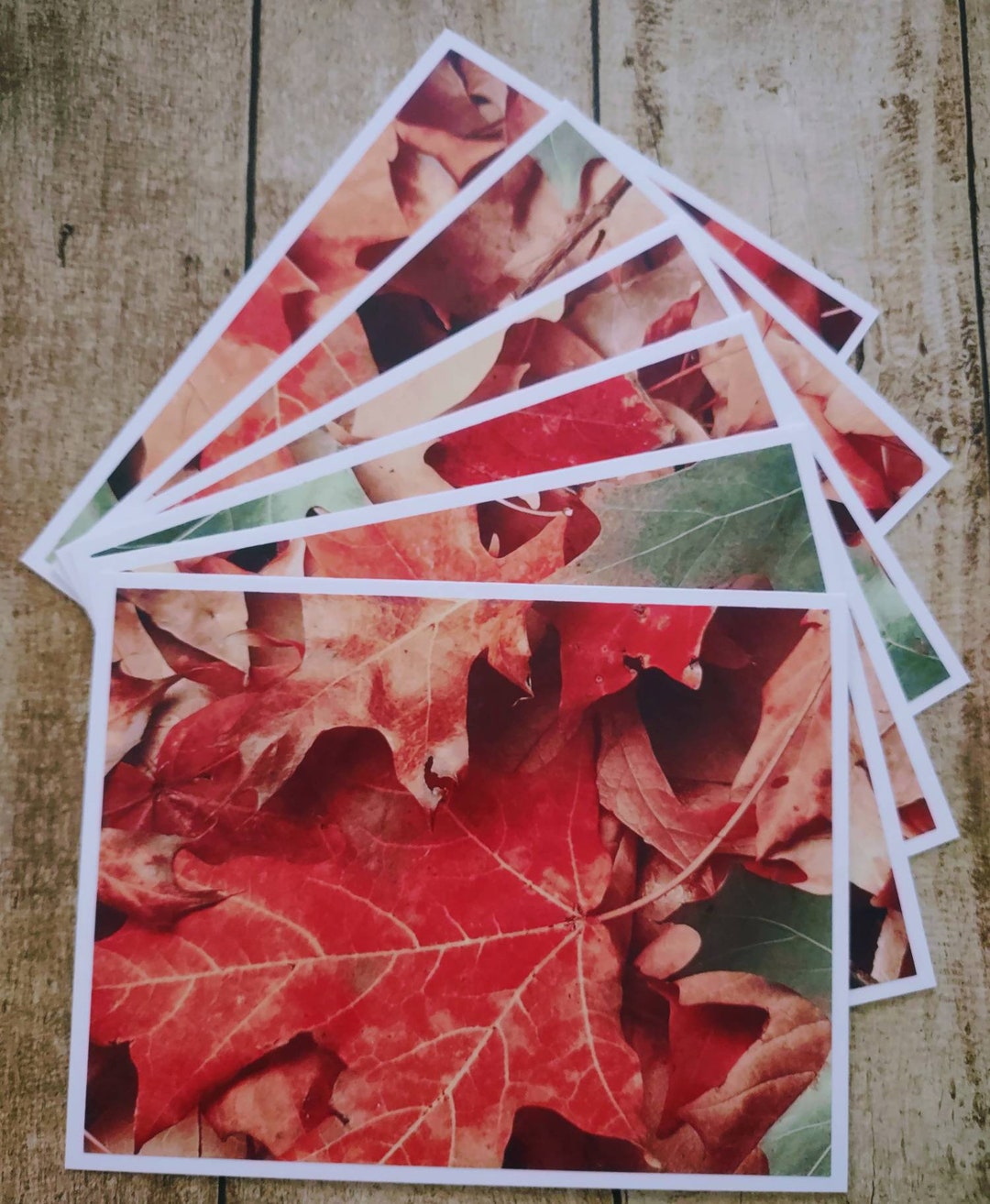 Set of 6 Autumn Leaves Blank Notecards With Envelopes Fall Harvest ...