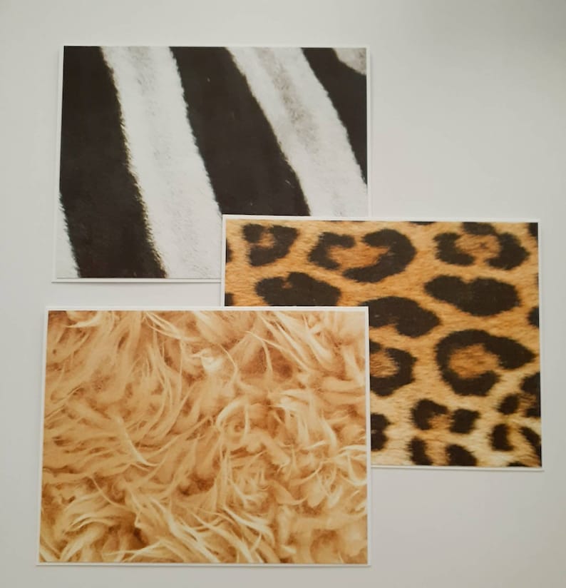 Fun Notes Set of 6 Animal Coat Notecards with Envelopes