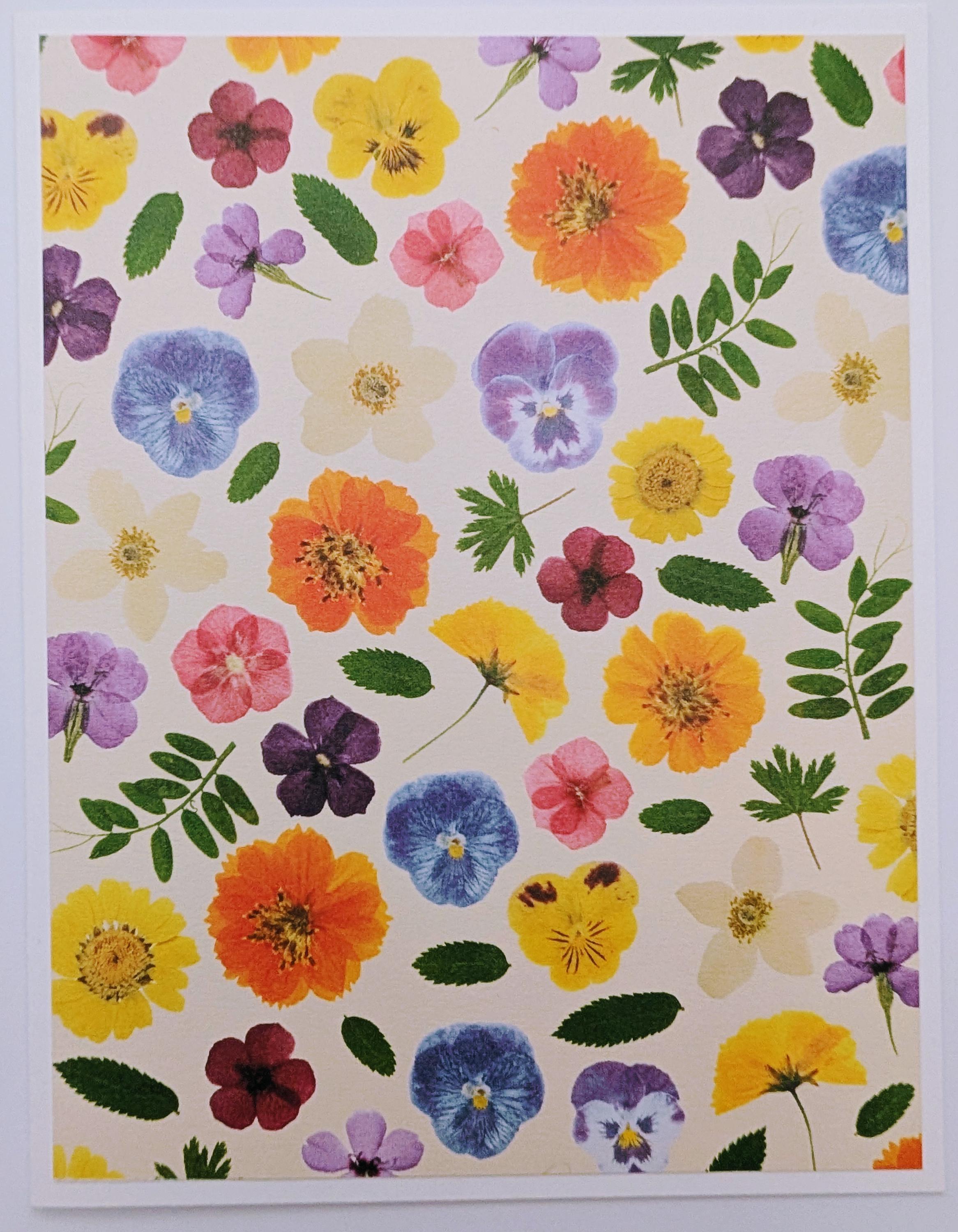 Set of 6 Bright Pansy Love Floral Notecards With Envelopes, Love Notes ...