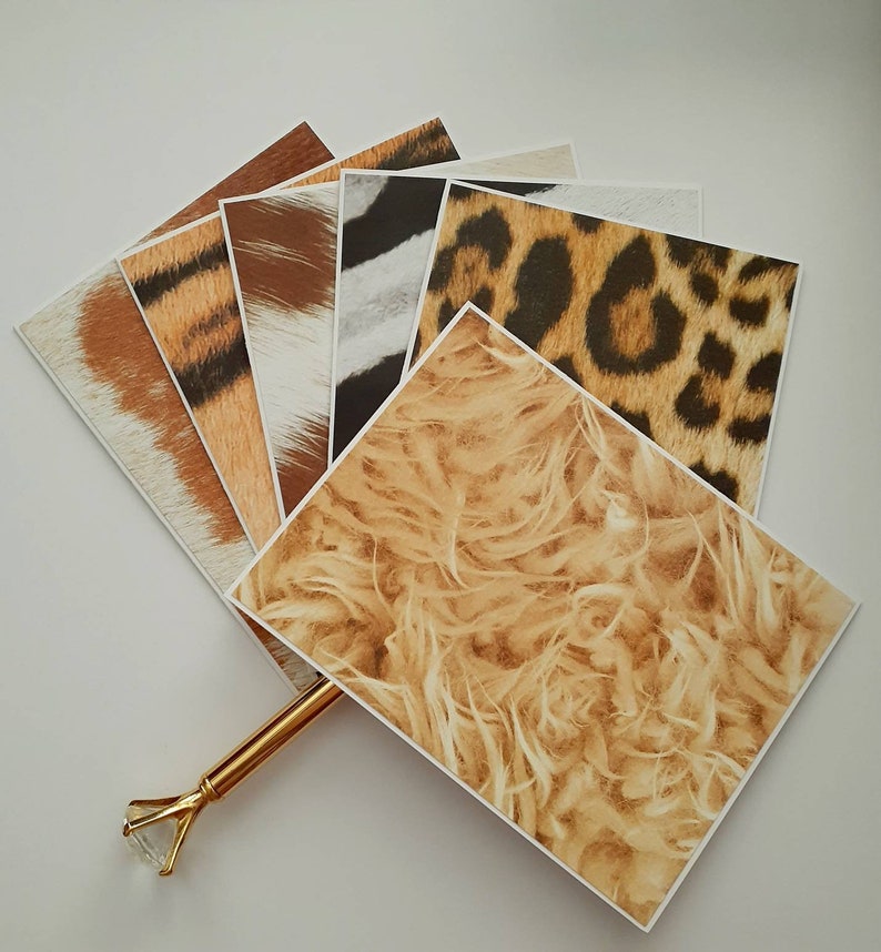 Fun Notes Set of 6 Animal Coat Notecards with Envelopes
