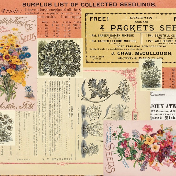 21 PAGE, SEED CATALOG Journal Kit, Plus Pockets, Tags, Belly Bands, Ephemera, and Collage Pages