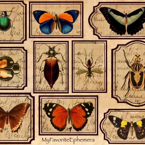 48 GRUNGY ENTOMOLOGY LABELS, Beetles, Butterflies, Bees, Junk Journal Bug Ephemera